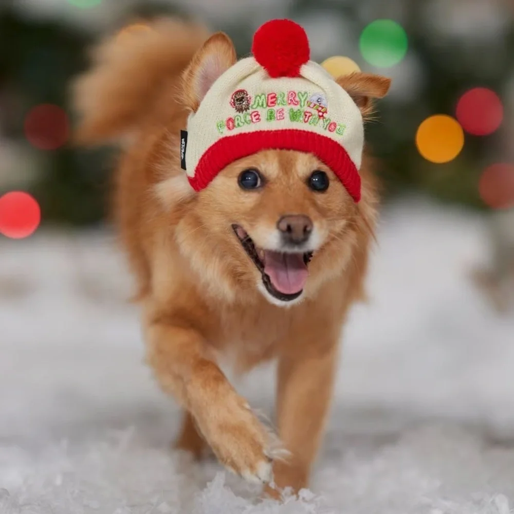 New Star Wars Christmas Dog Hat XS